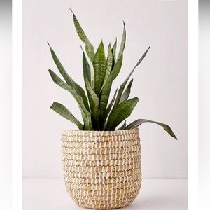 URBAN OUTFITTERS Dia Natural Basket Planter